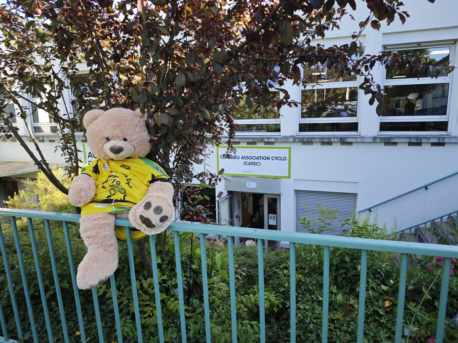 Forum des associations